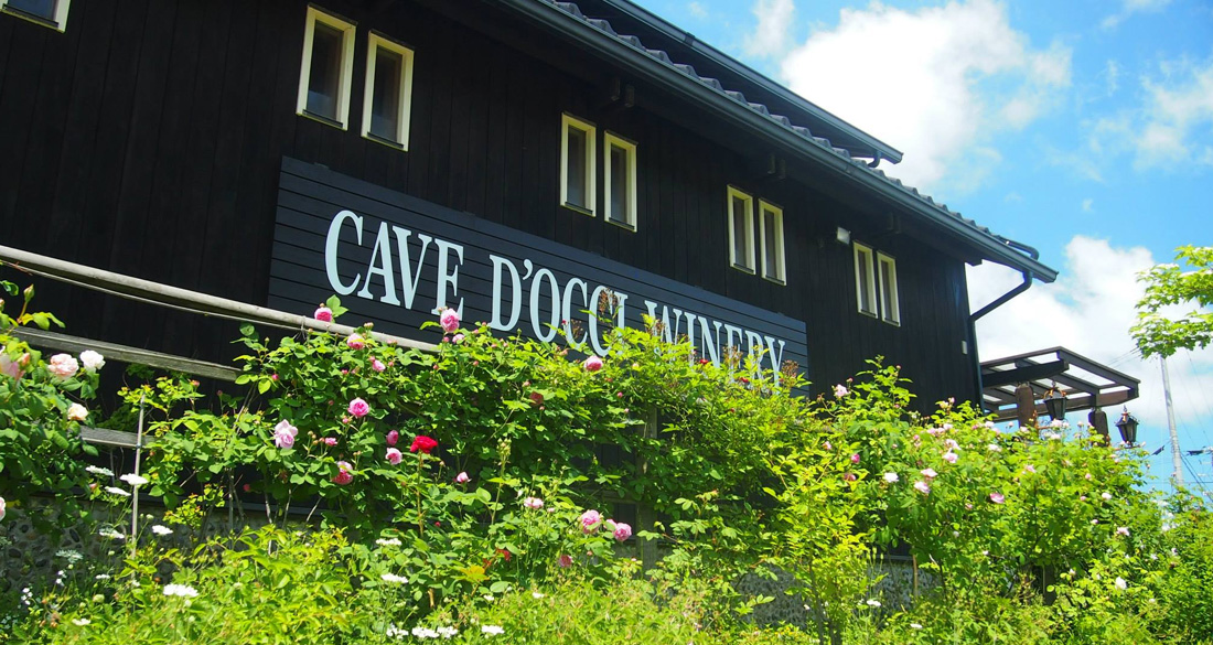 Cave d'Occi 酒莊
