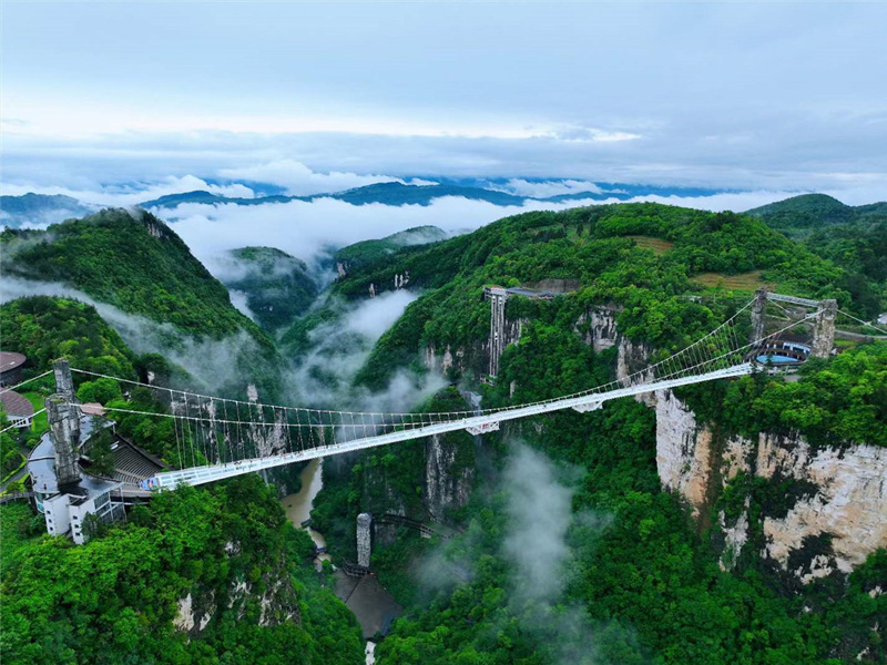 中國張家界大峽谷 玻璃橋
