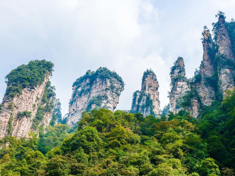 中國武陵源金鞭溪