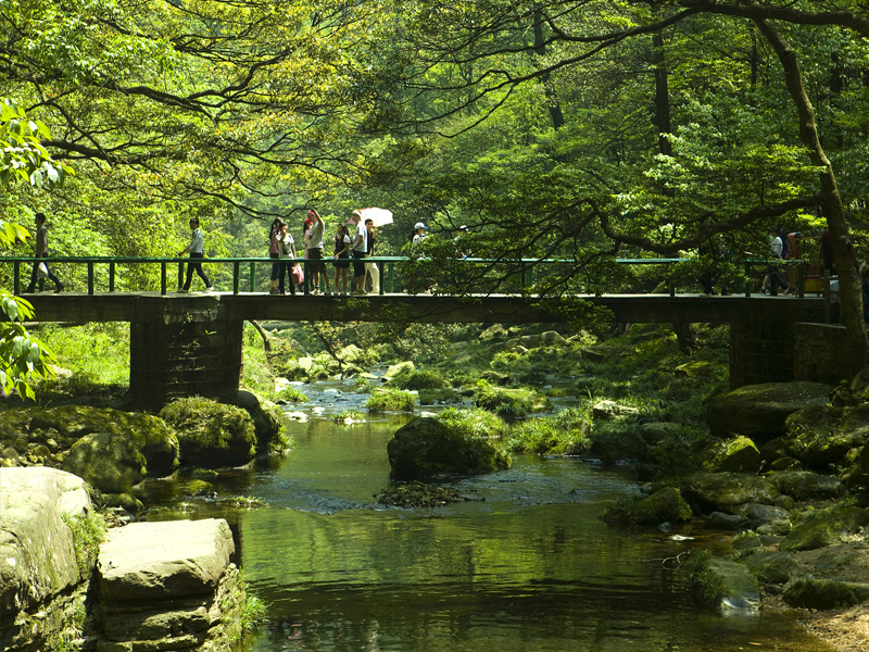 中國武陵源金鞭溪