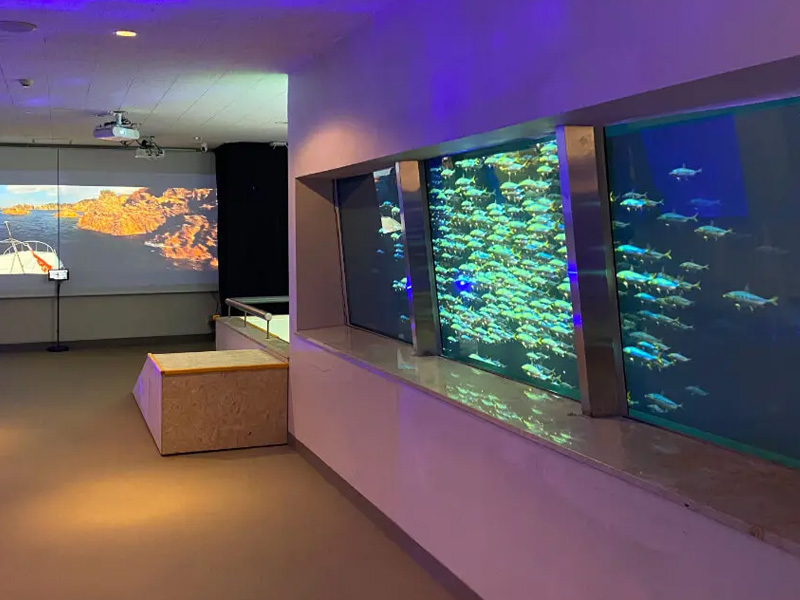 新潟佐渡島 尖閣湾揚島遊園