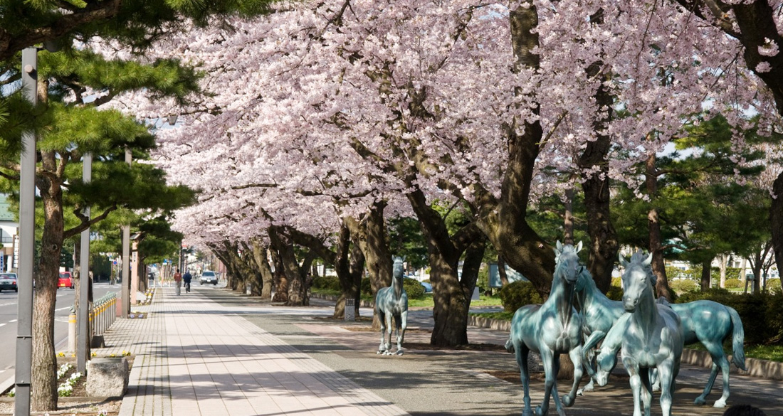 青森 十和田市官廳街通