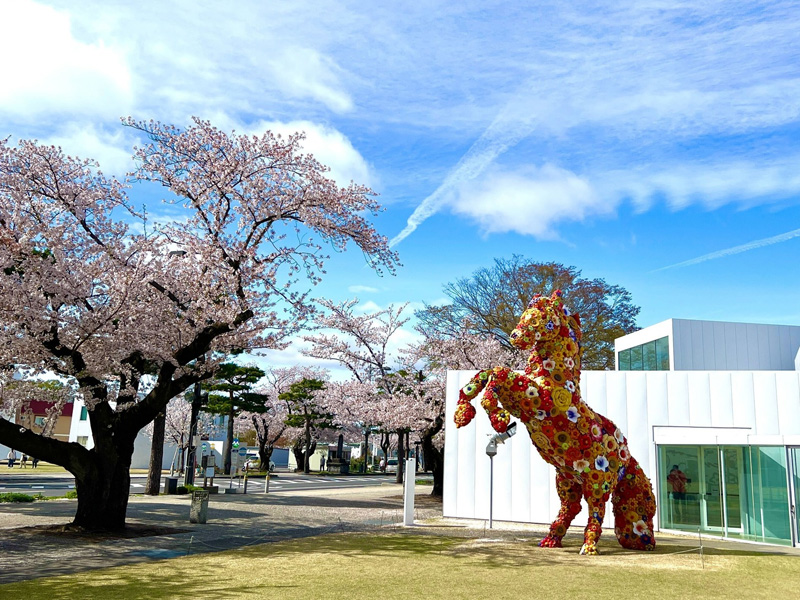 青森 十和田市現代美術館
