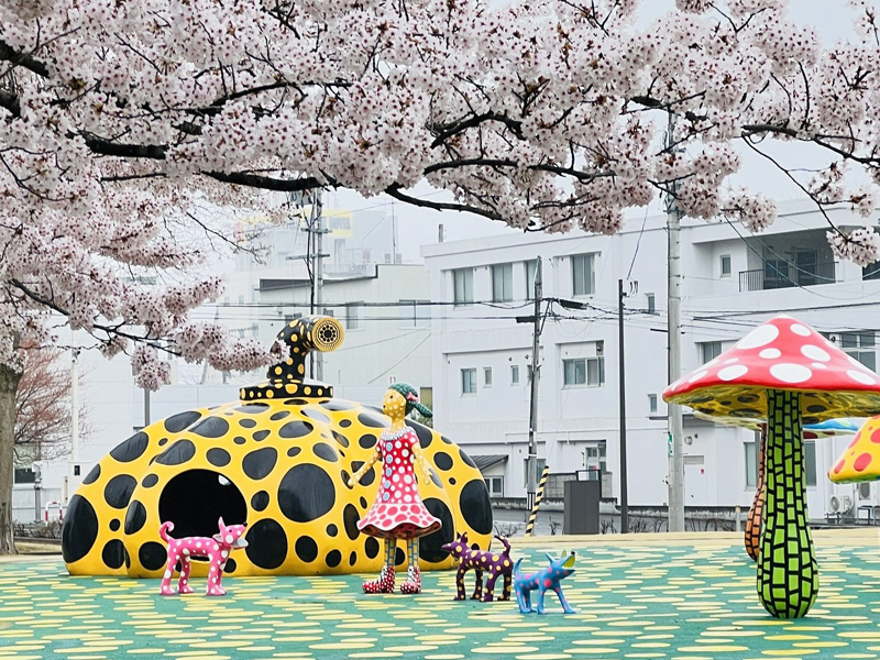 青森 十和田市現代美術館