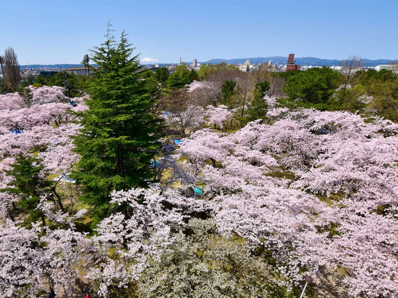 青森 合浦公園