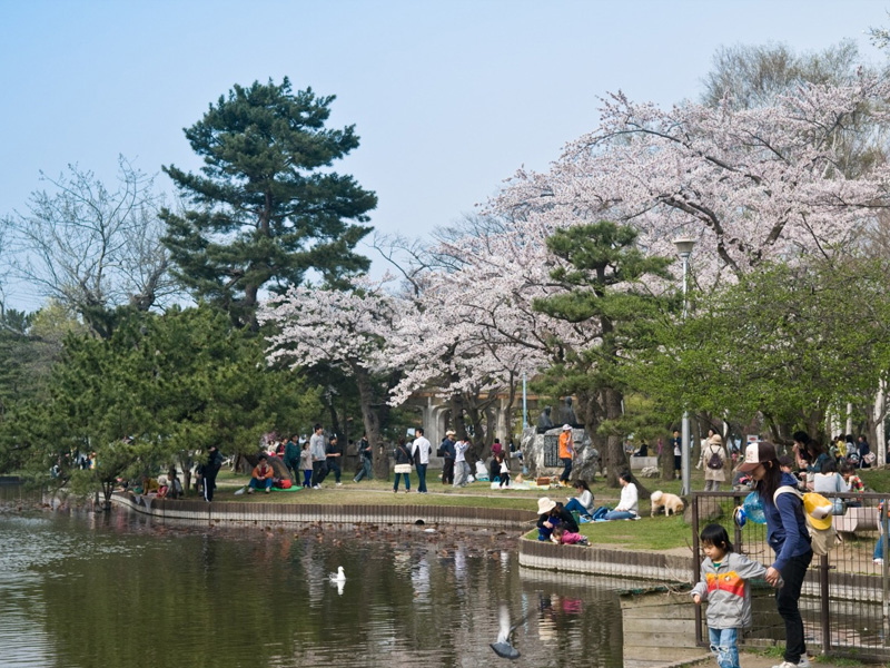 青森 合浦公園