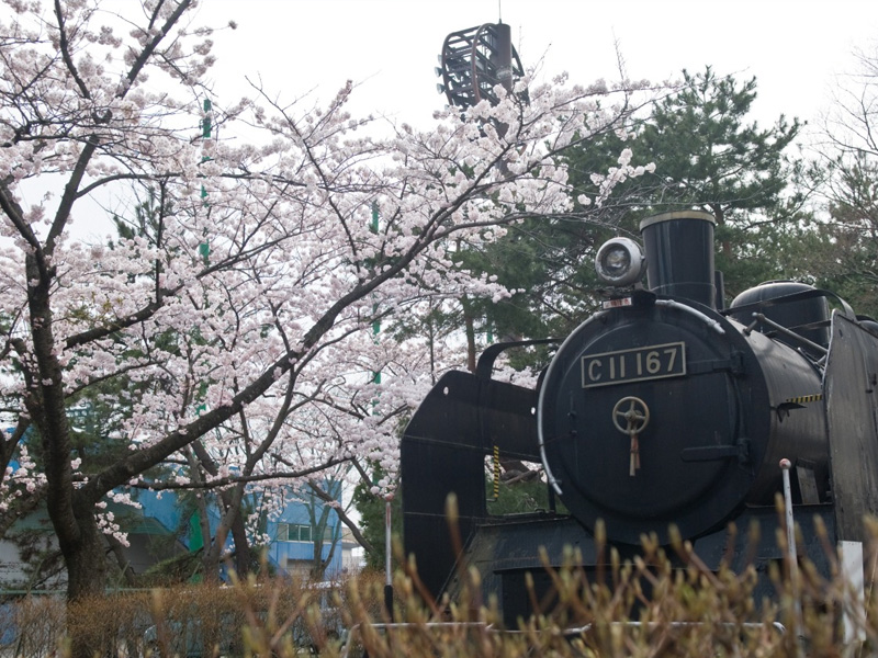 青森 合浦公園