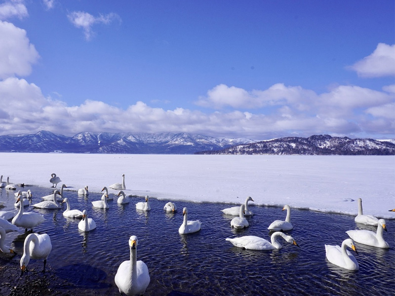北海道 屈斜路湖