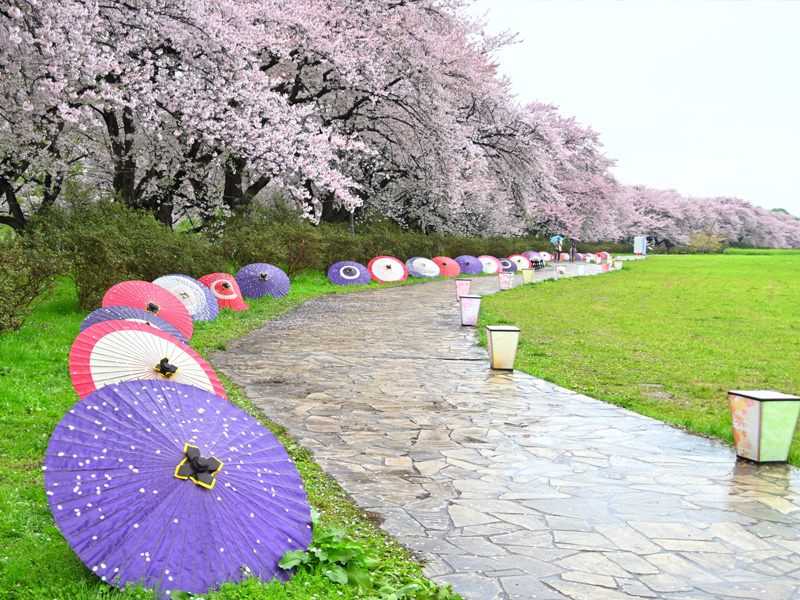 岩手 展勝地公園