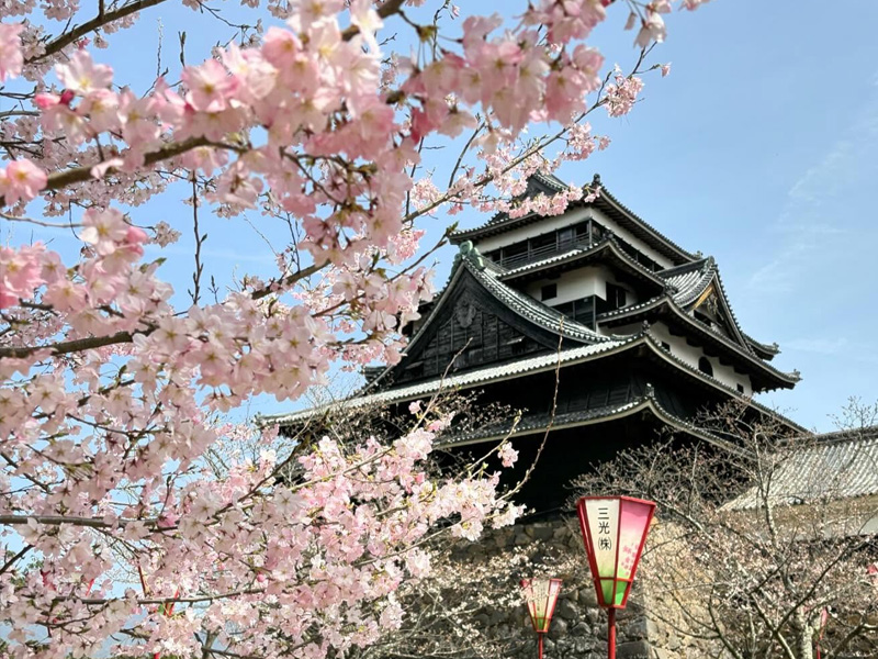 島根県 国宝松江城