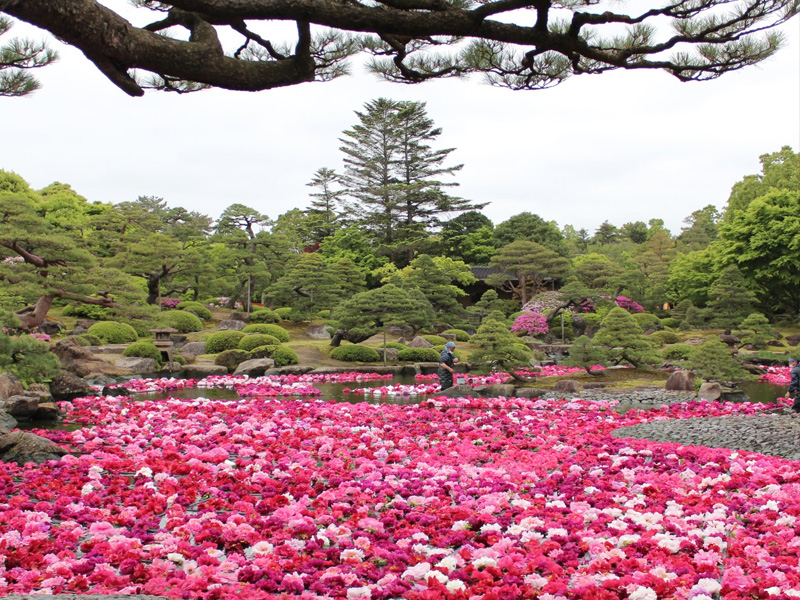 島根県 由志園