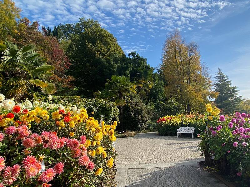 德國美瑙島花園