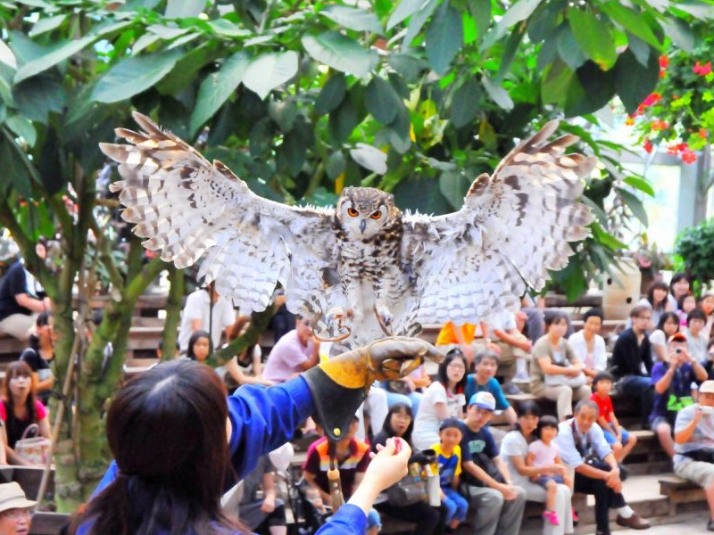 鳥取 松江花鳥園