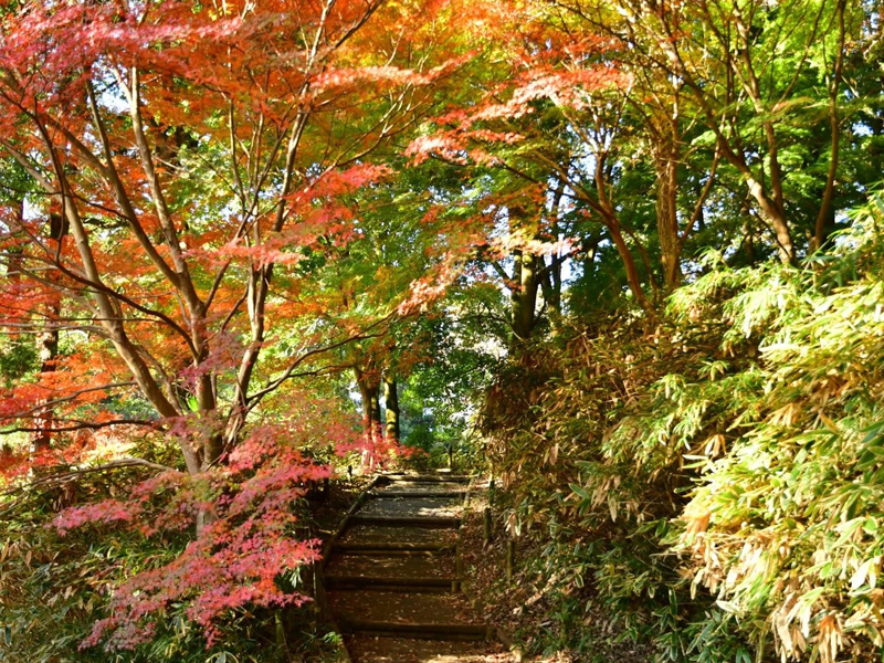水戶偕樂園