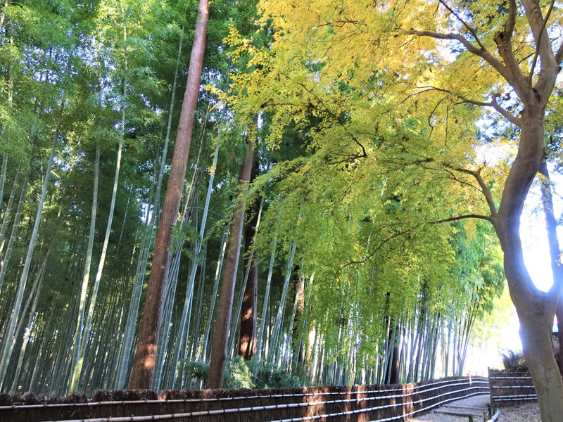 水戶偕樂園