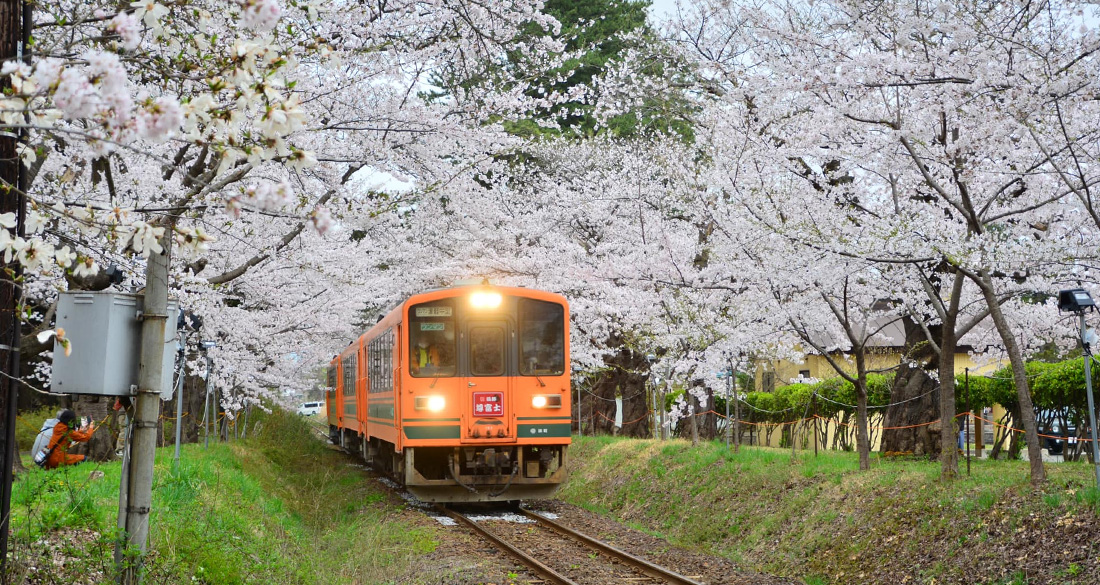 青森 蘆野公園