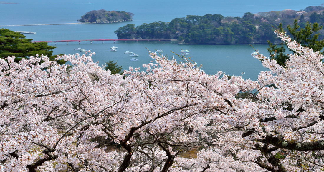 宮城 西行折回之松公園