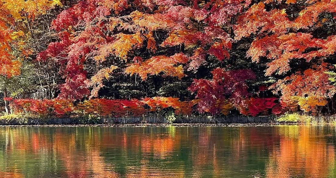 長野 輕井澤 雲場池